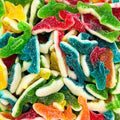 Dulceplus Requin Acidulé