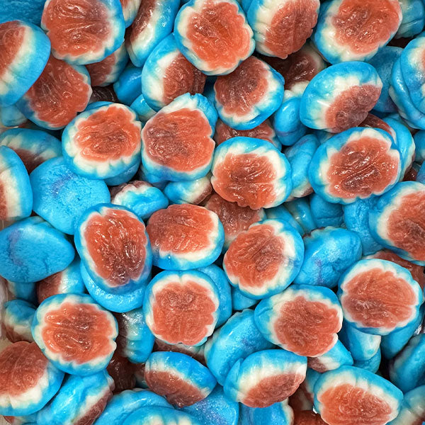 Dulceplus Cerveau